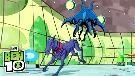Omniverse: Good Dog, Bad Dog .